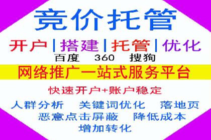SEM运营公司案例解析：精准广告投放技巧
